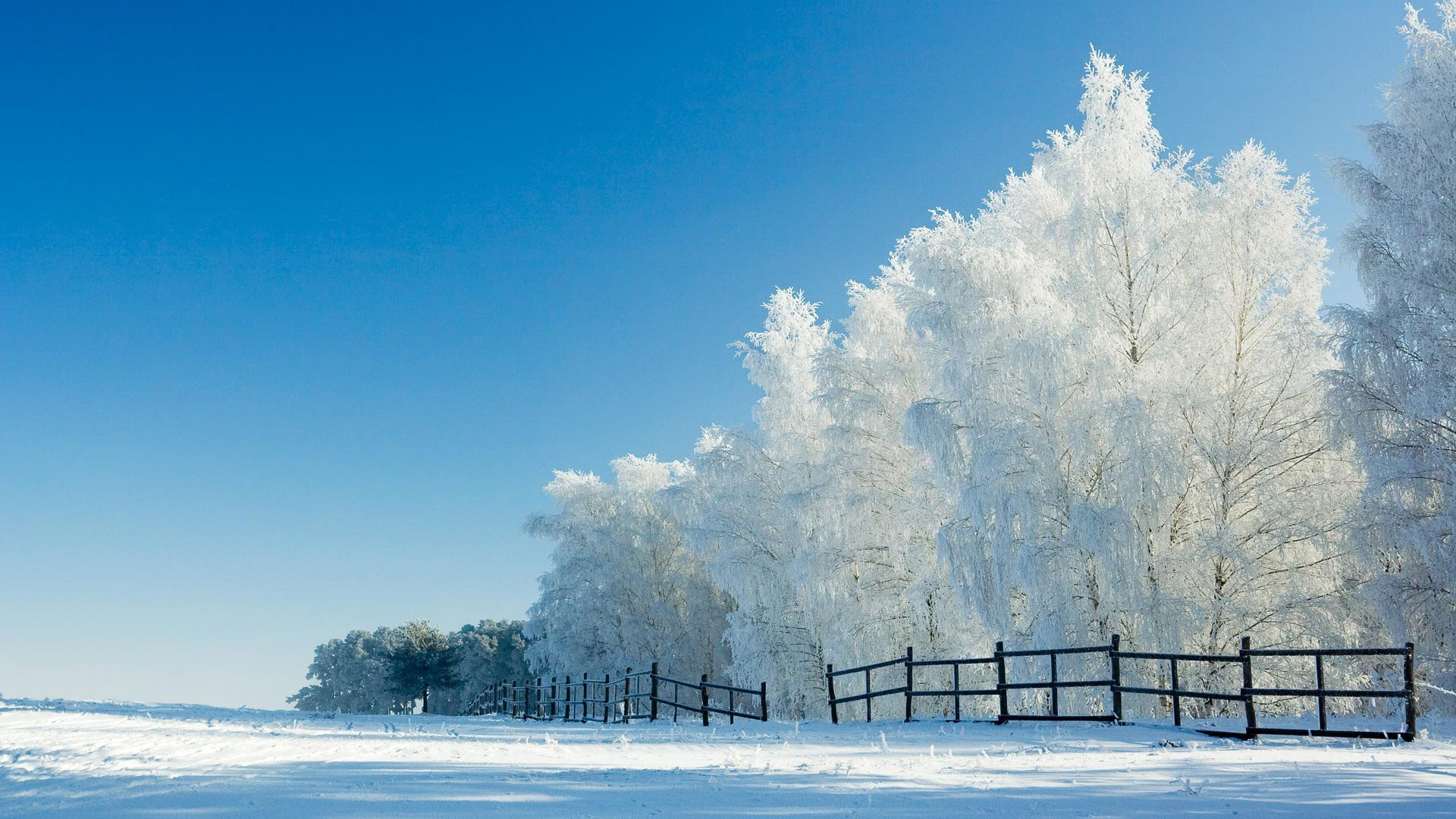 美丽雪景栅栏风景桌面壁纸_彼岸壁纸.jpg